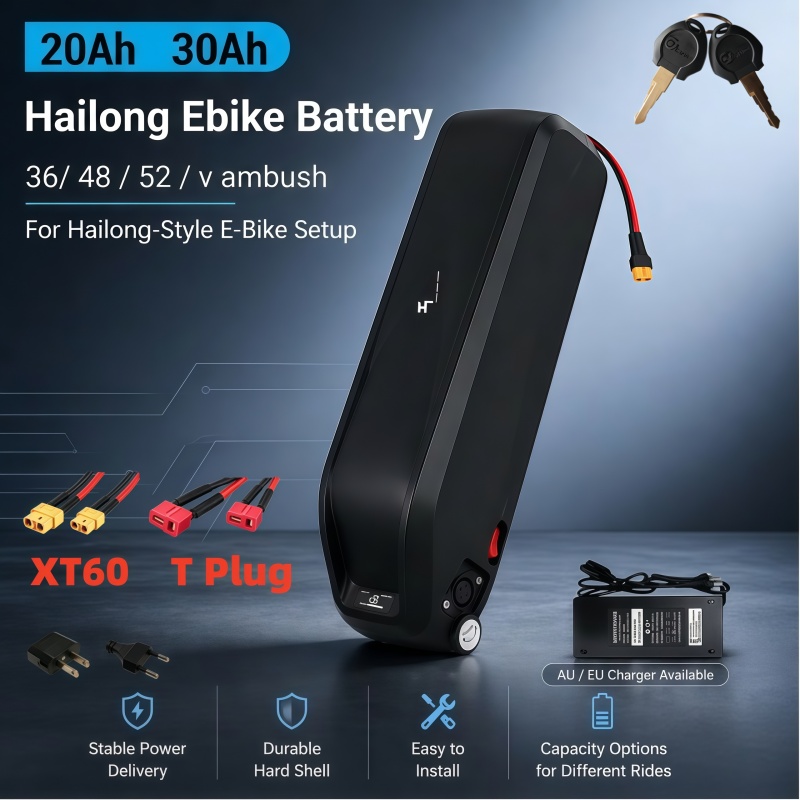 Ebike Battery 48V 20Ah Hailong - Vielseitiger Hailong-Akku, Multispannung 36V 48V 52V