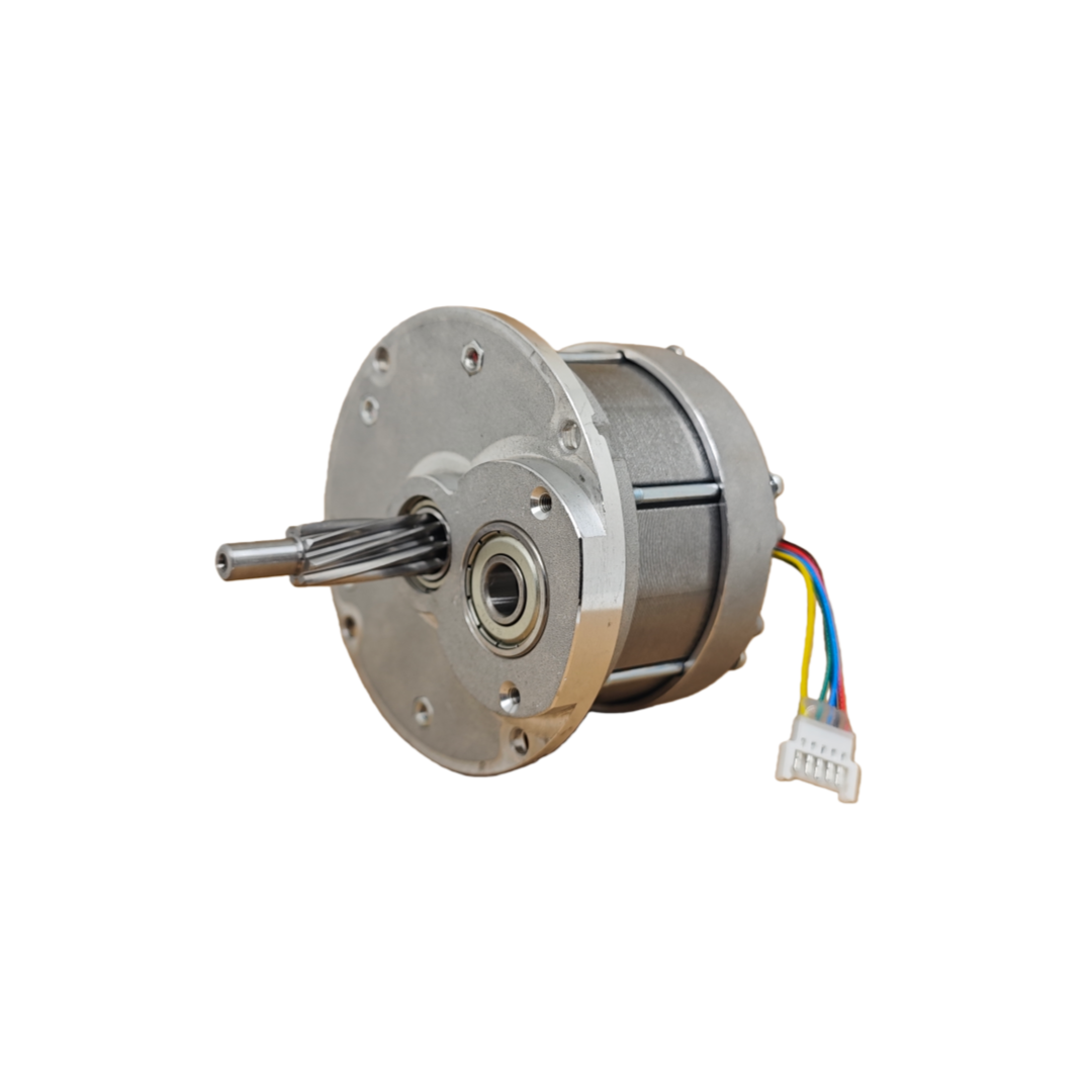 Tongsheng TSDZ2 TSDZ2B Rotor-M – Tongsheng Tsdz2B Mid Drive Motor Bewertung und Preis