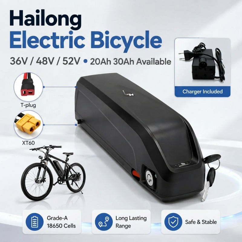 Vielseitiger Hailong-Akku, Mul – Ebike Battery 48V 20Ah Hailong Bewertung und Preis