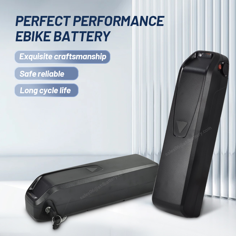 ALX Hailong E-Bike-Akku 36 V L – Ebike Battery 48V 20Ah Hailong Bewertung und Preis